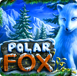 Бесплатный аппарат Polar Fox онлайн. Играть без регистрации